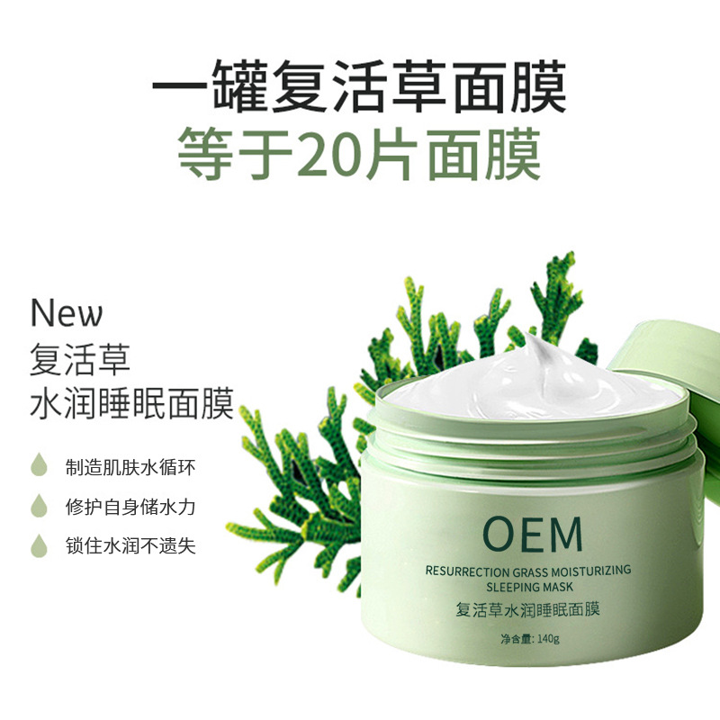 北区_复活草睡眠面膜OEM